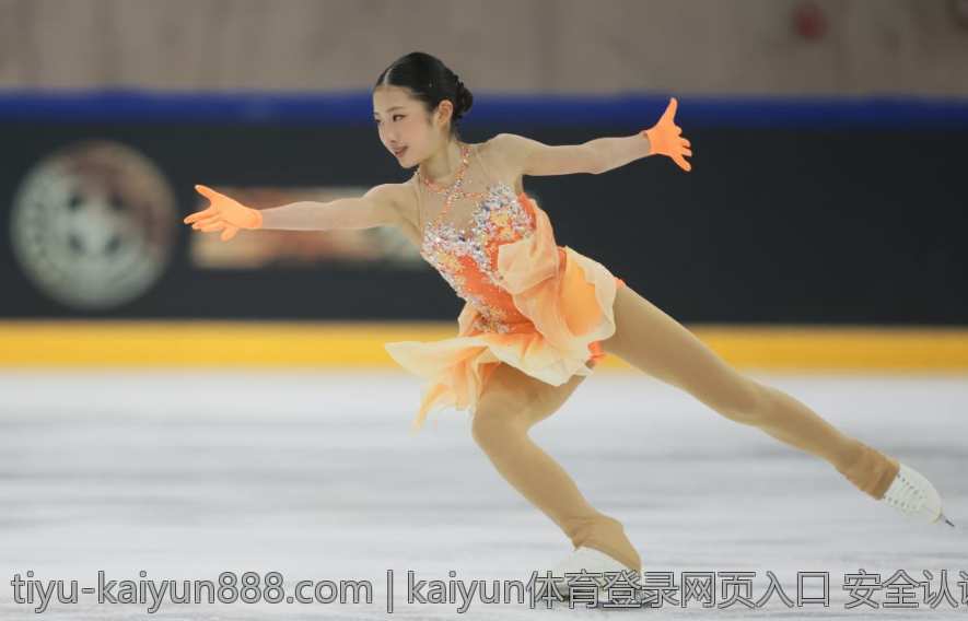 kaiyun体育登录网页入口 安全认证的Kaiyun体育登录网页入口功能介绍